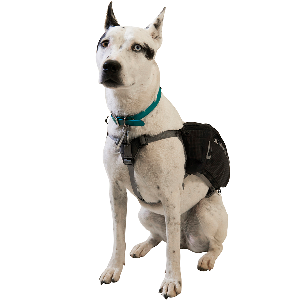 Ultimate Direction Dog Vest